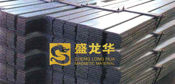 �t�ϼ��F���